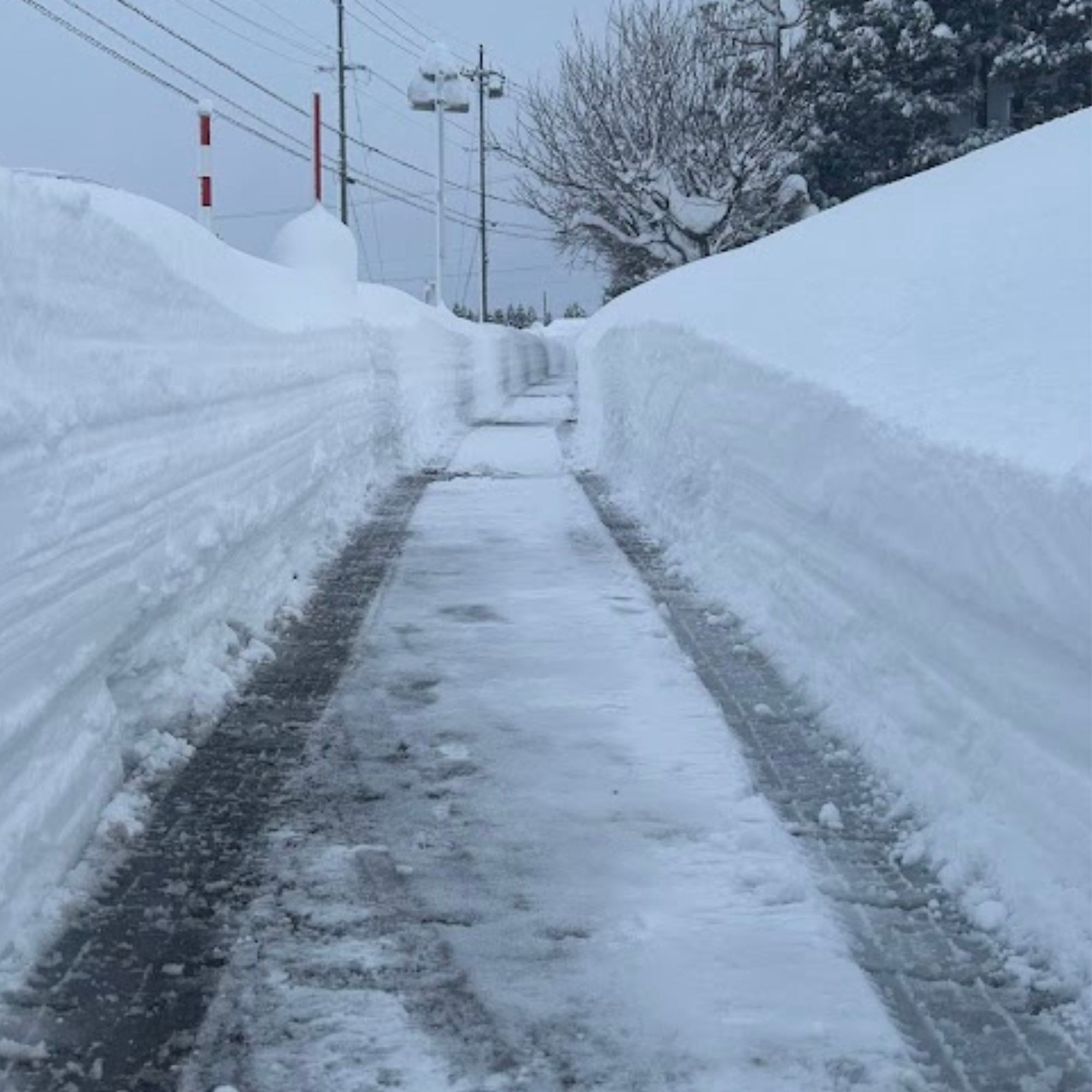 横川組歩道除雪隊